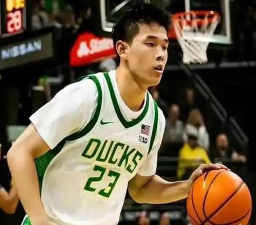 贝拉尔迪恢,复球队训练,或干扰尤文,开云体育,开云体育官网,开云体育app,开云体育平台,KAIYUN,SPORTS,kaiyun登录入口