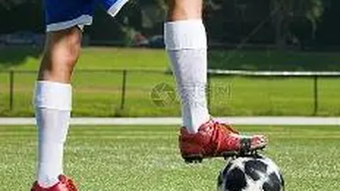 开云·体育 产品 123305 fd3