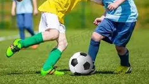 开云·体育 产品 110749 pza