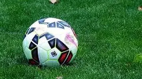 黄金组合：壹号鸽舍奶酪VS倚天梅尔浪原舍