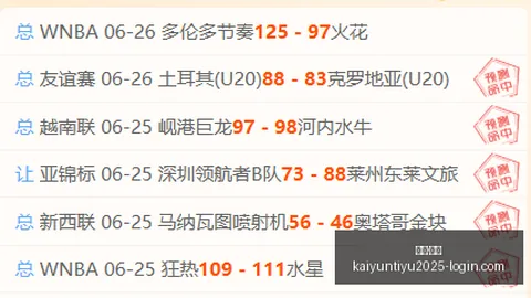 开云·体育 110440 8